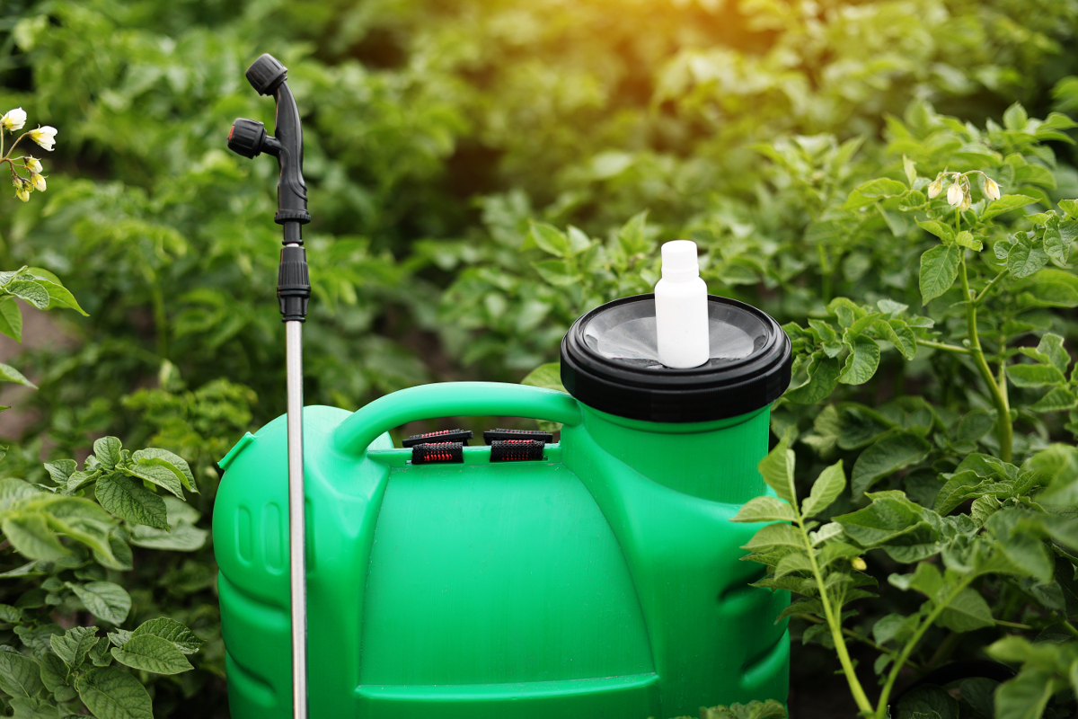 roundup