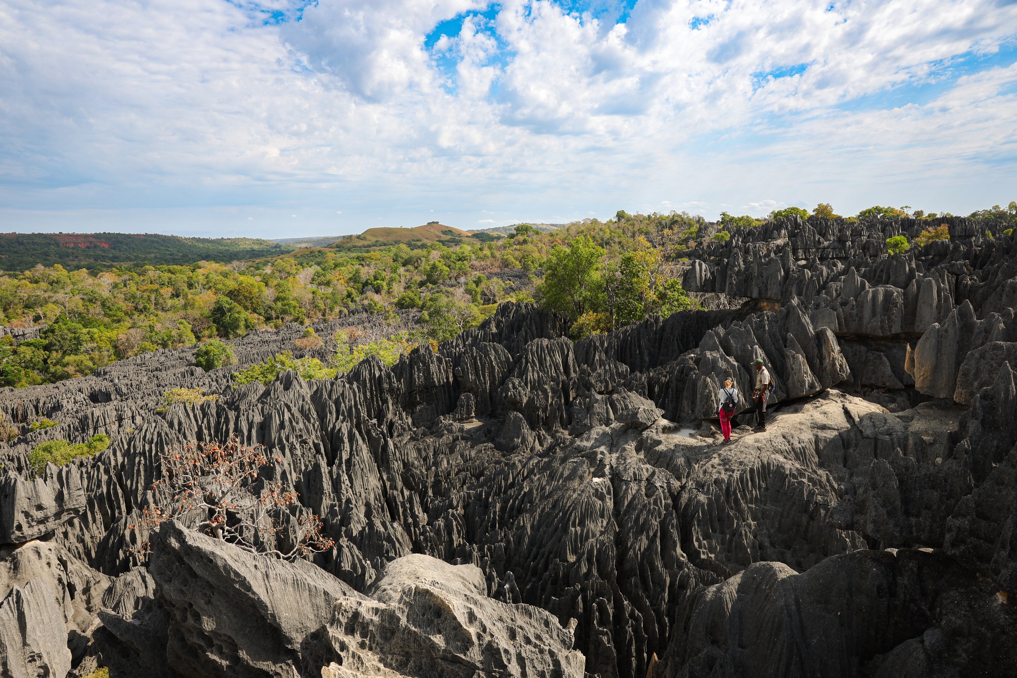 tsingy de Bemaraha