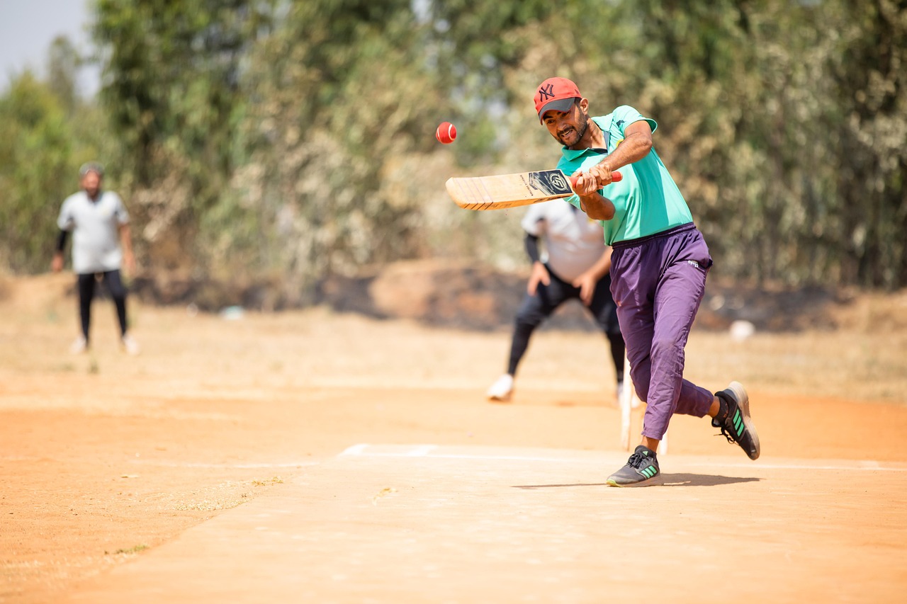 Le cricket