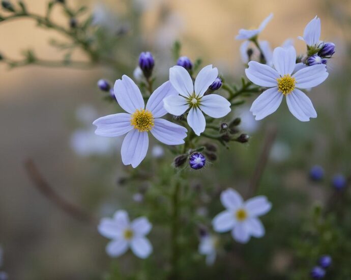 découvrez comment choisir la box de stockage idéale à epinay-sur-seine pour optimiser votre espace et sécuriser vos biens efficacement.