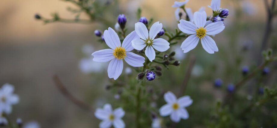 découvrez comment choisir la box de stockage idéale à epinay-sur-seine pour optimiser votre espace et sécuriser vos biens efficacement.